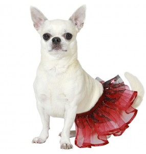 Costume pour chien Tutu Rouge