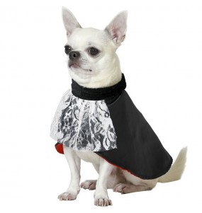 Costume pour chien Vampire