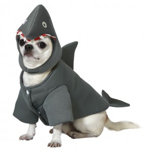 Costume pour chien Requin