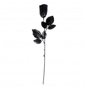 Rose Noire