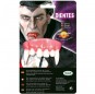 Dentier Vampire Canines pointues