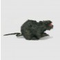 Rat en Plastique