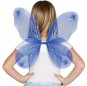 Ailes papillon bleue