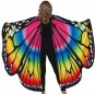 Ailes multicolores de papillon géantes