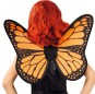 Ailes Oranges Papillon