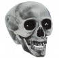 Tête de Mort Décoration