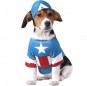 Déguisement Captain America pour chien