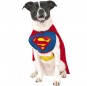 Déguisement Superman pour chien