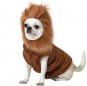 Costume pour chien Lion