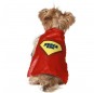 Déguisement Superman pour chien Espalda