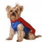 Déguisement Superman pour chien