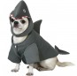 Costume pour chien Requin