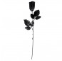 Rose Noire
