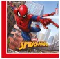 Serviettes Spiderman 